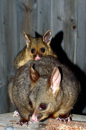 DSC_6020.JPG
